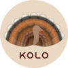 Kolo